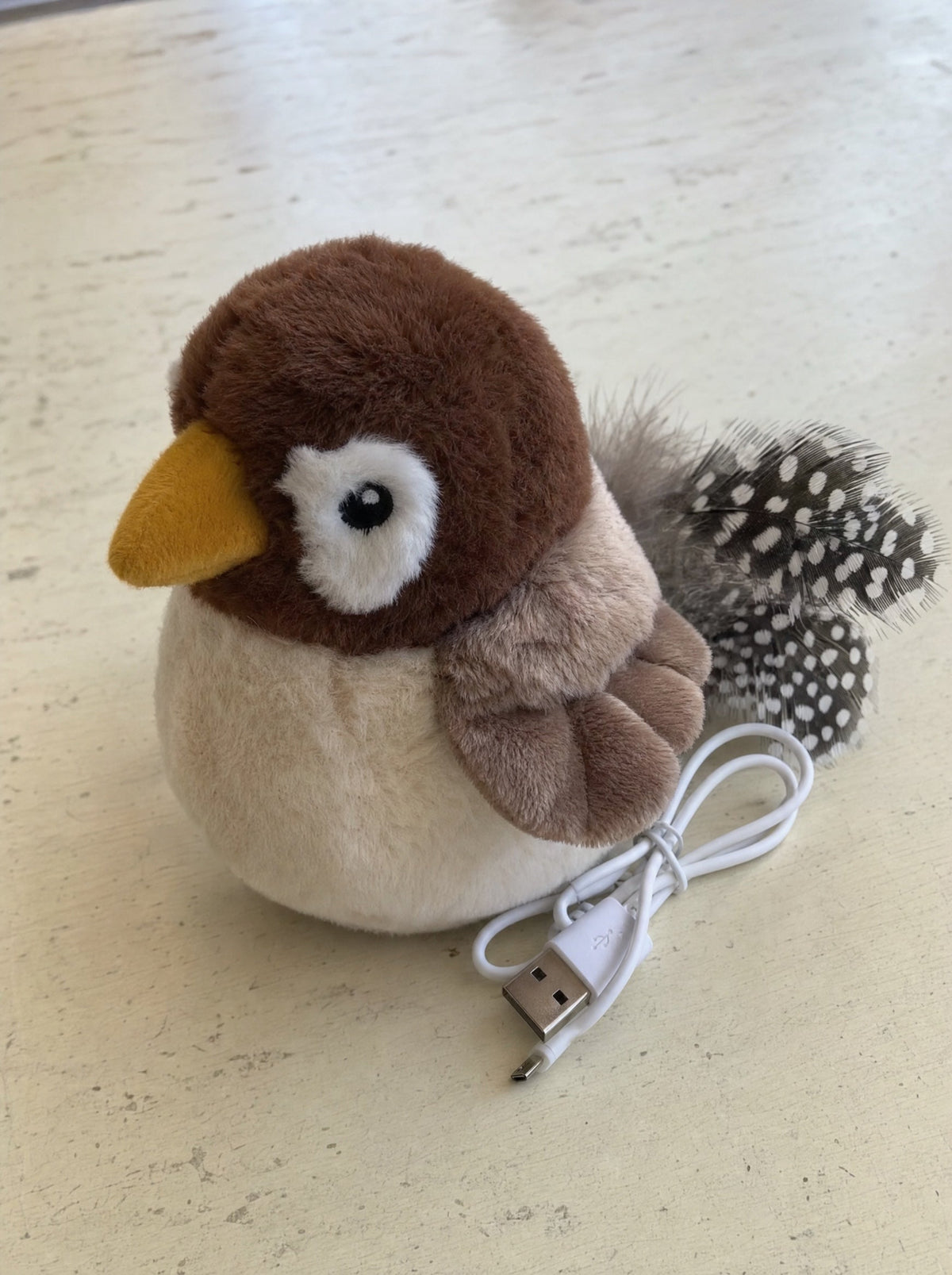 Jouet Chat Oiseau Gazouillant