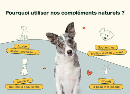 DermaCroq'™ – Friandises Immunité & Anti-Démangeaisons pour Chien