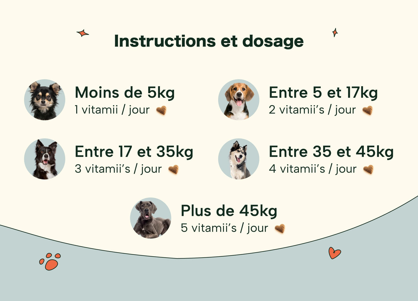 DermaCroq'™ – Friandises Immunité & Anti-Démangeaisons pour Chien