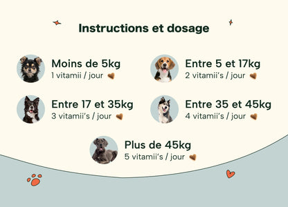DermaCroq'™ – Friandises Immunité & Anti-Démangeaisons pour Chien
