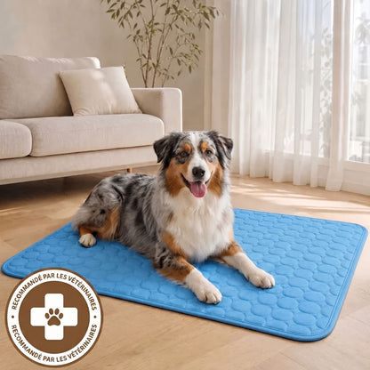 FreshPad™ – Tapis Rafraîchissant pour Chien & Chat