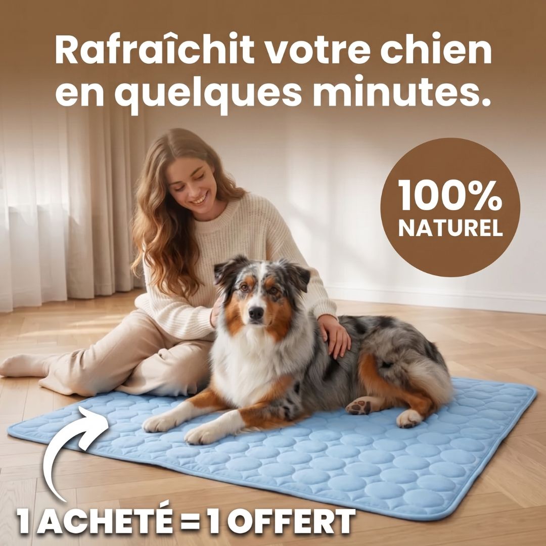 FreshPad™ – Tapis Rafraîchissant pour Chien & Chat