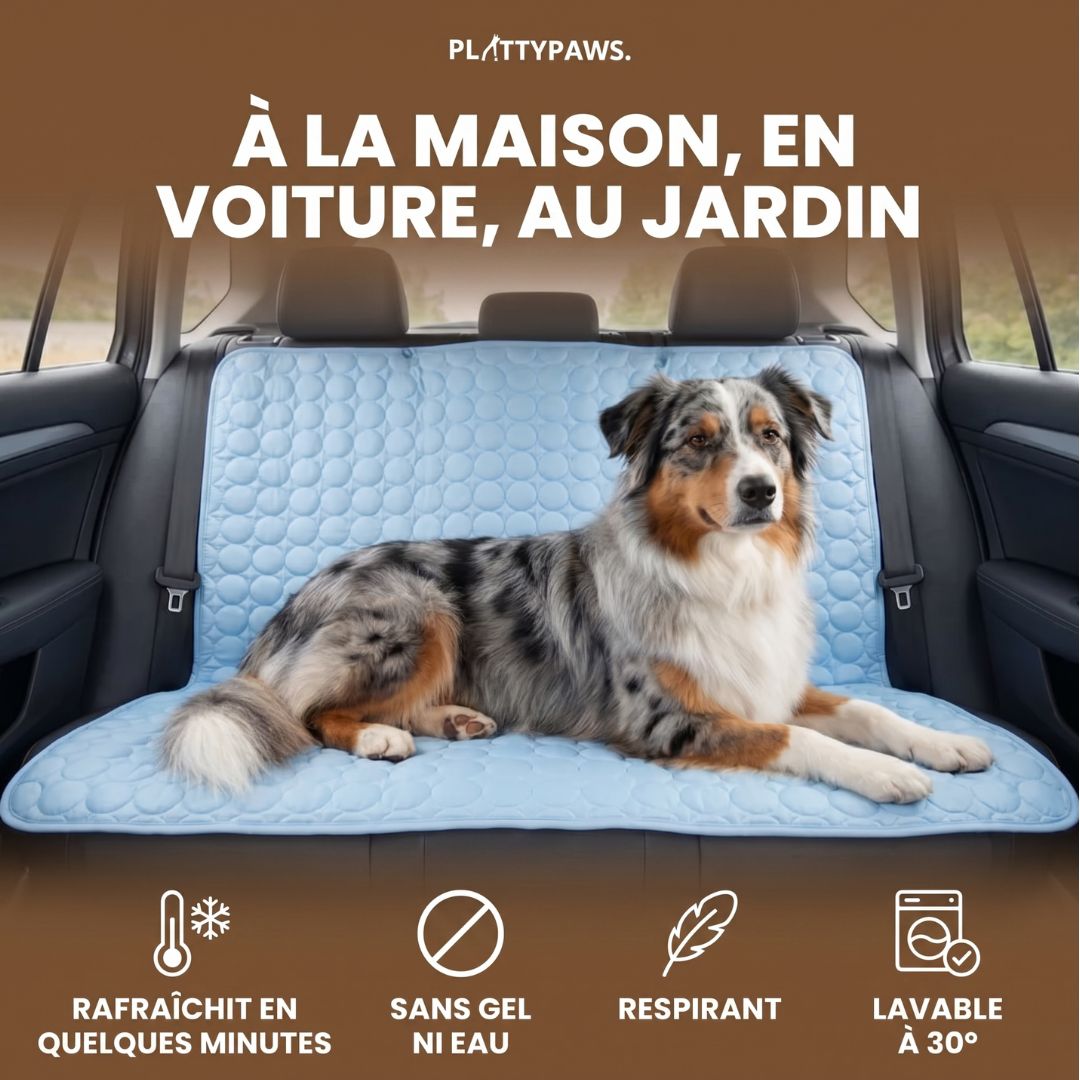 FreshPad™ – Tapis Rafraîchissant pour Chien & Chat