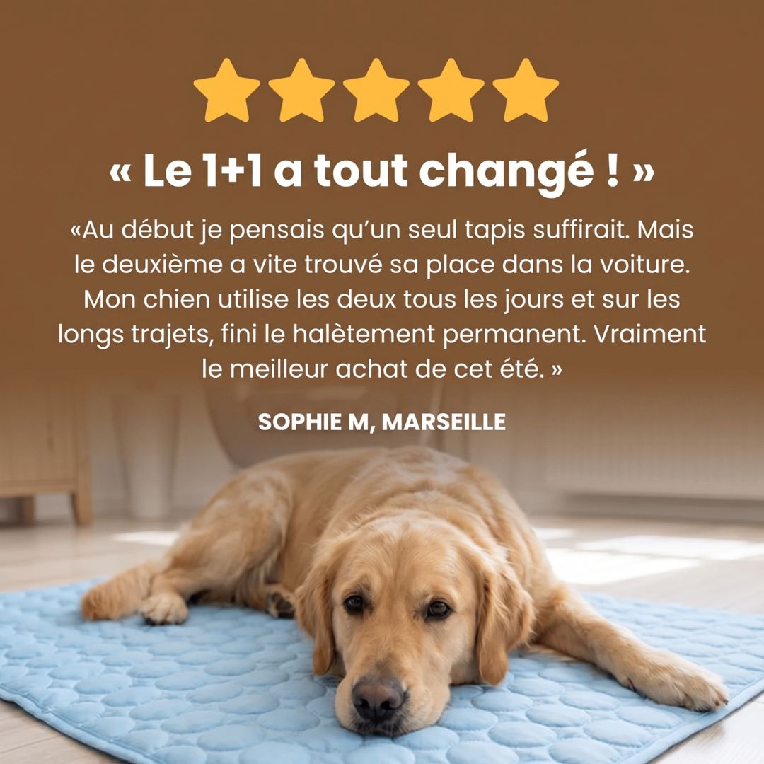 FreshPad™ – Tapis Rafraîchissant pour Chien & Chat