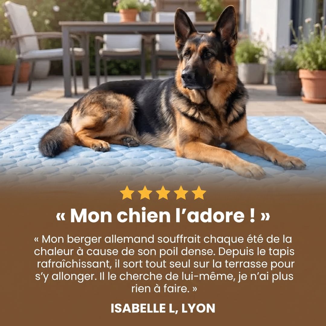 FreshPad™ – Tapis Rafraîchissant pour Chien & Chat