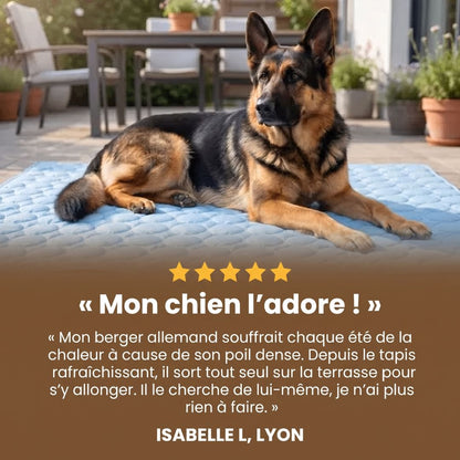 FreshPad™ – Tapis Rafraîchissant pour Chien & Chat