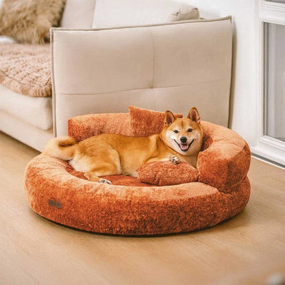 situation — CocoonPaws™ – Panier Donut Orthopédique Anti-Griffures