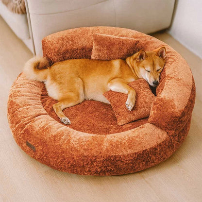 situation — CocoonPaws™ – Panier Donut Orthopédique Anti-Griffures
