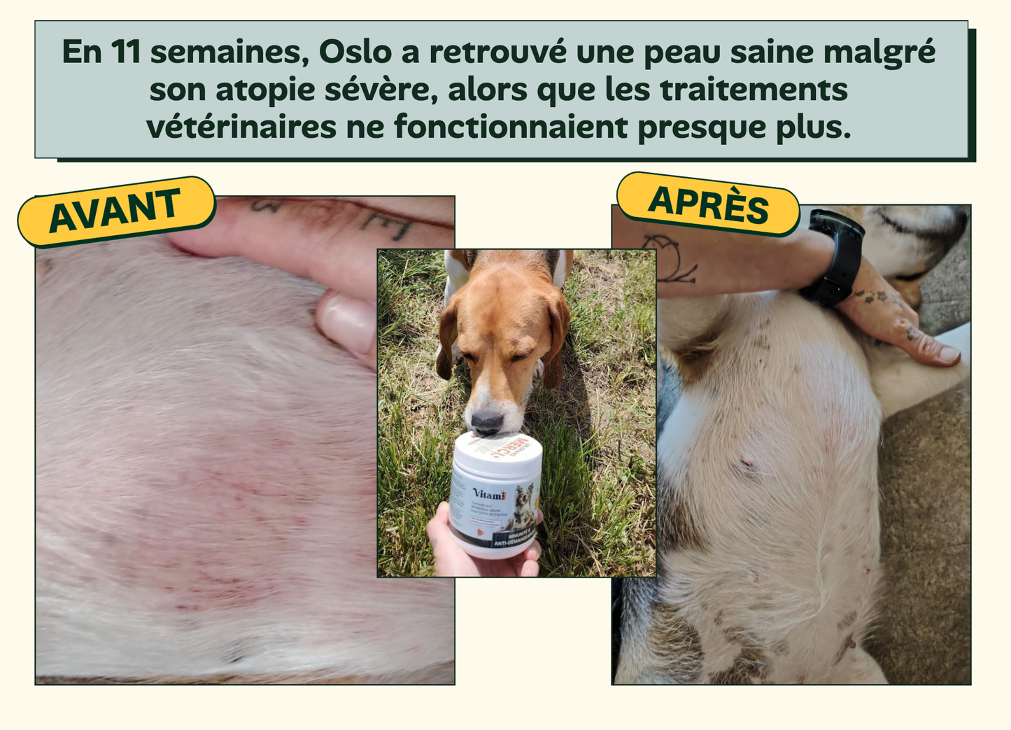 DermaCroq'™ – Friandises Immunité & Anti-Démangeaisons pour Chien