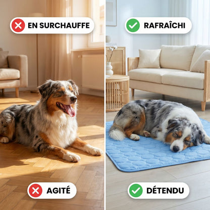 FreshPad™ – Tapis Rafraîchissant pour Chien & Chat