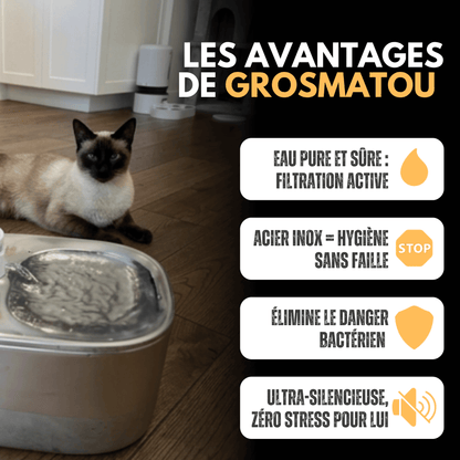 AquaMatou™ – Fontaine à Eau Sans Fil Inox 4L pour Chat