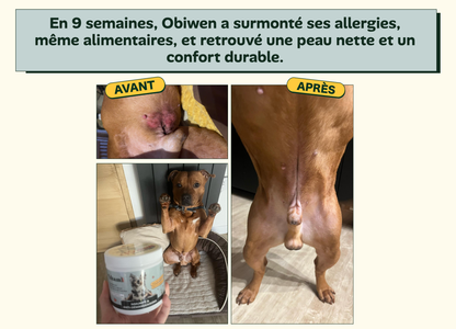 DermaCroq'™ – Friandises Immunité & Anti-Démangeaisons pour Chien