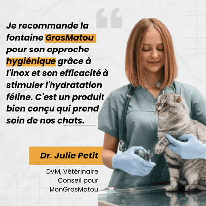 AquaMatou™ – Fontaine à Eau Sans Fil Inox 4L pour Chat