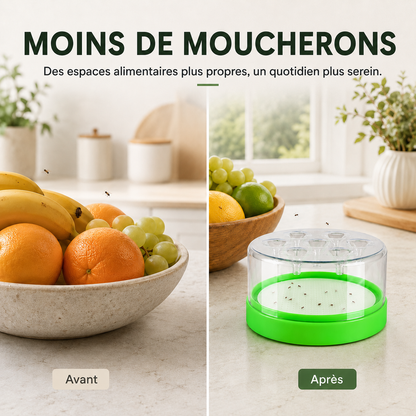 FlyTrap Éco™ – Piège à Moucherons Lavable & Réutilisable