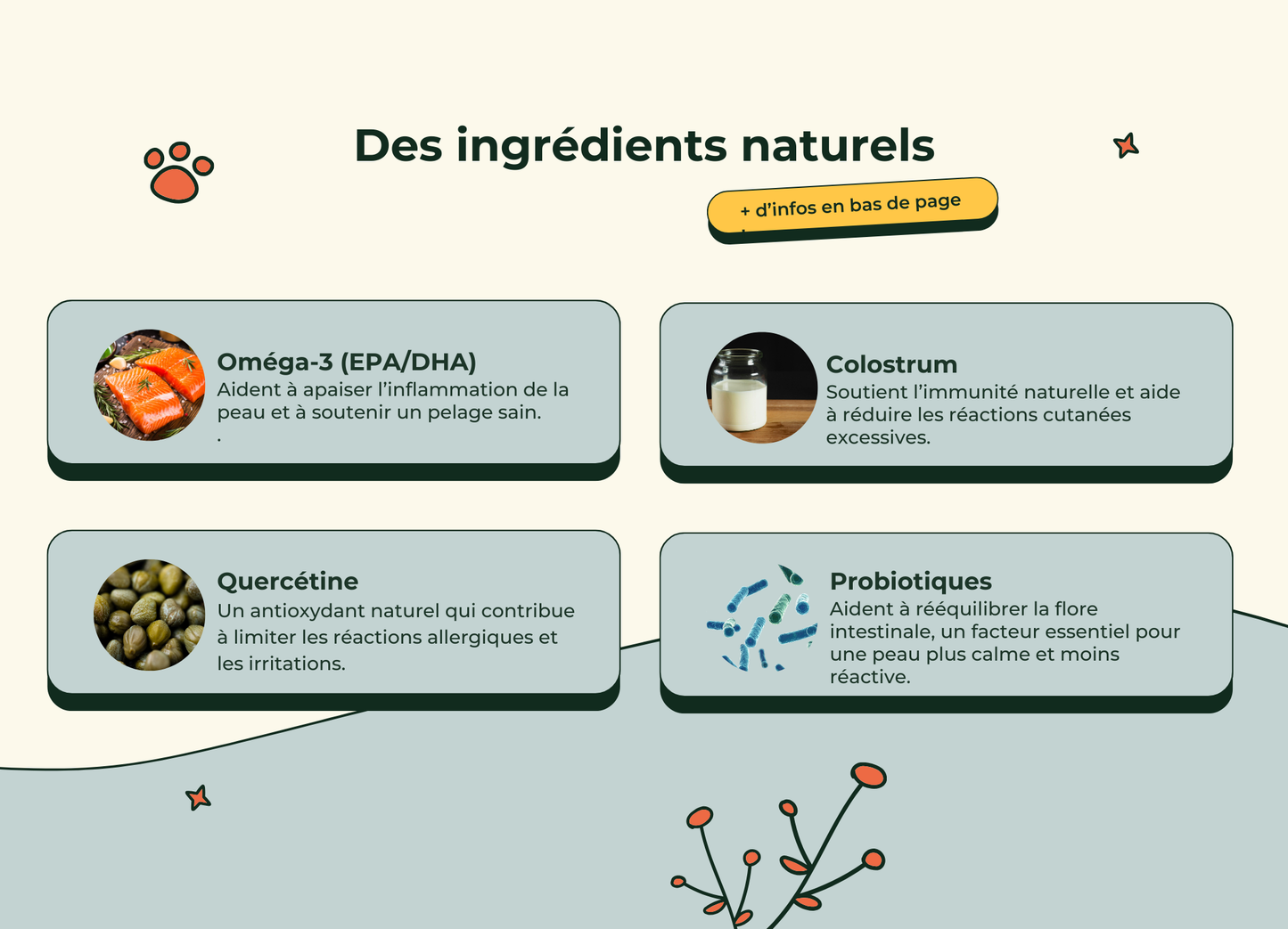 DermaCroq'™ – Friandises Immunité & Anti-Démangeaisons pour Chien