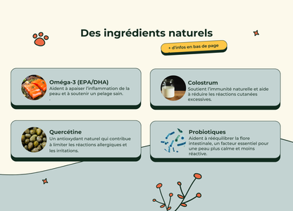 DermaCroq'™ – Friandises Immunité & Anti-Démangeaisons pour Chien