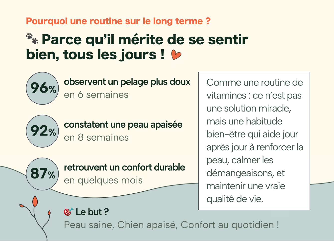 DermaCroq'™ – Friandises Immunité & Anti-Démangeaisons pour Chien
