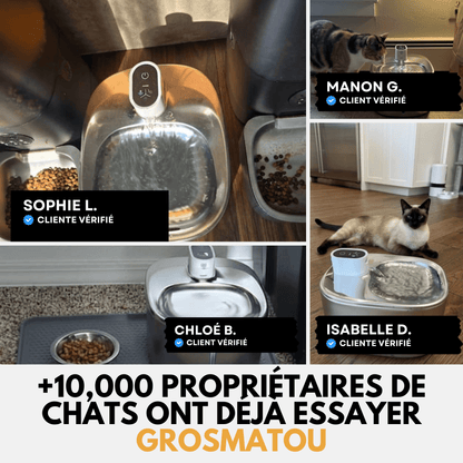 AquaMatou™ – Fontaine à Eau Sans Fil Inox 4L pour Chat