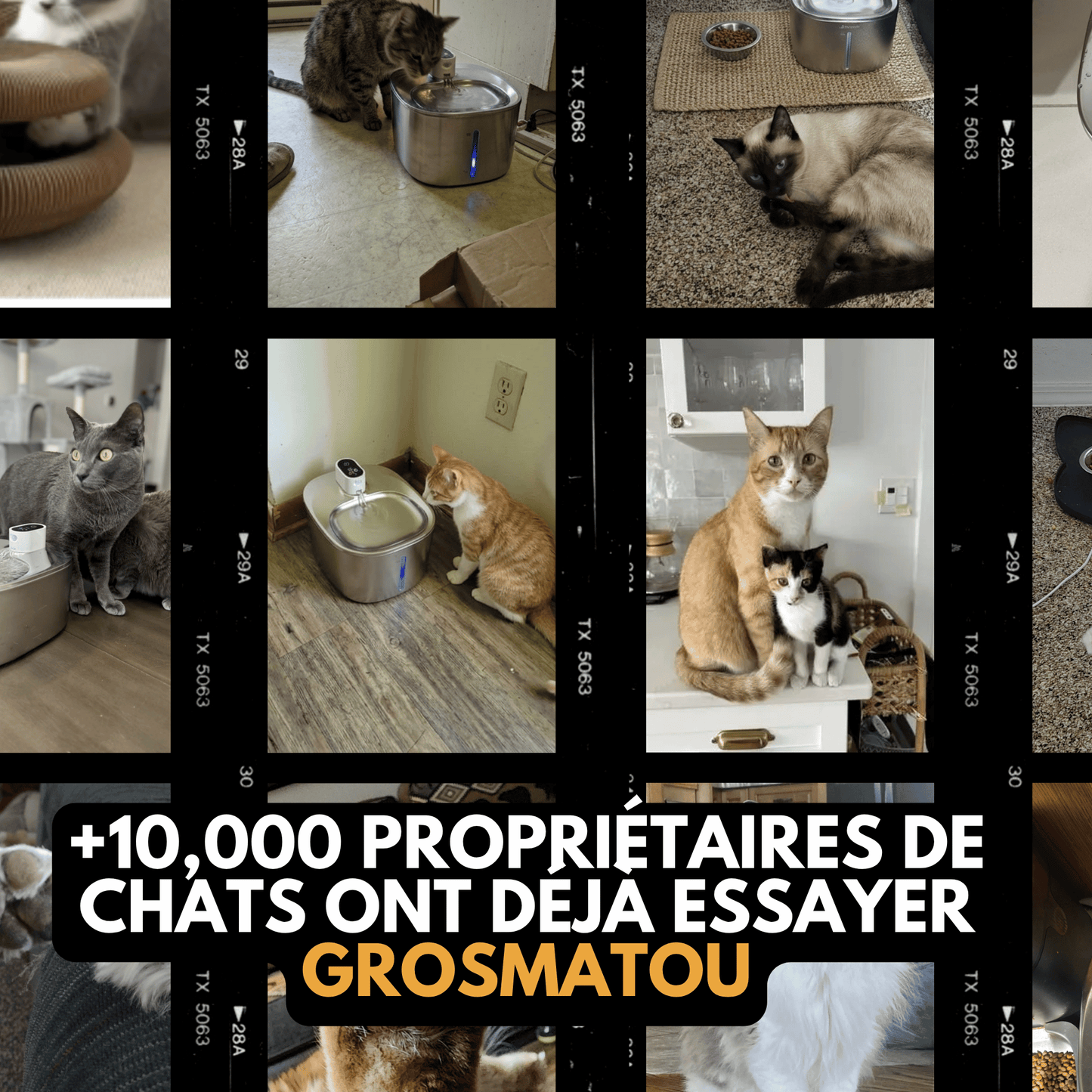 AquaMatou™ – Fontaine à Eau Sans Fil Inox 4L pour Chat