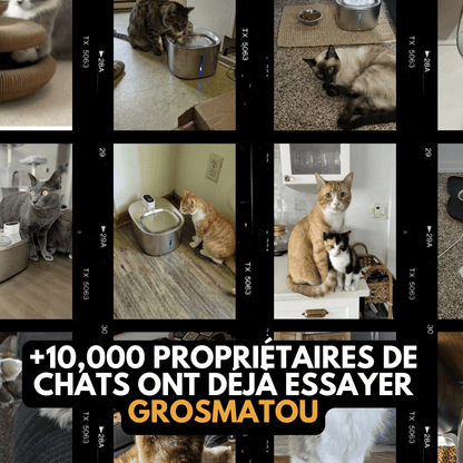 AquaMatou™ – Fontaine à Eau Sans Fil Inox 4L pour Chat