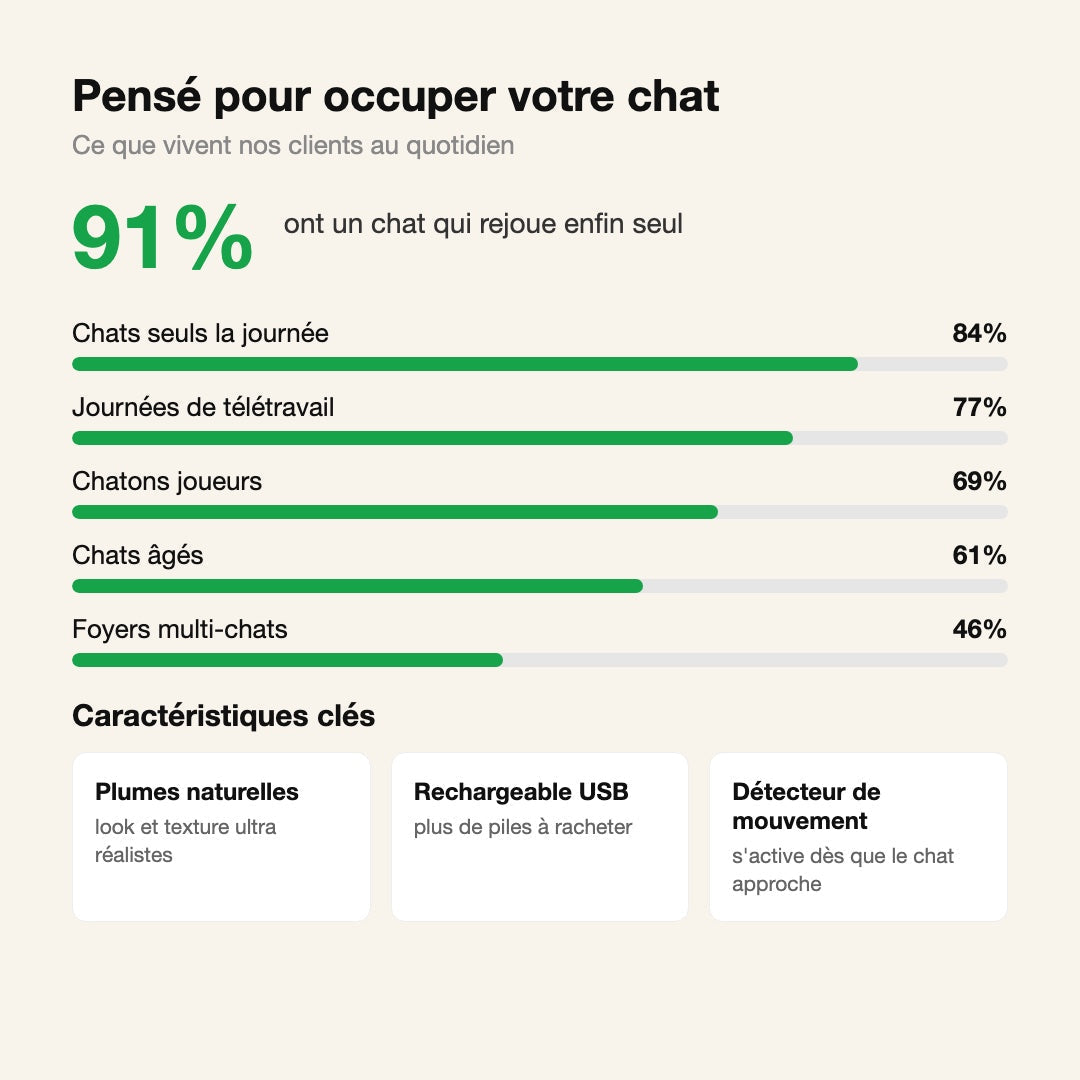 Jouet Chat Oiseau Gazouillant