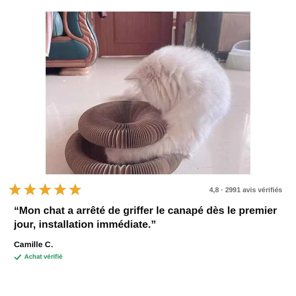 avis — GriffoBille™ – Griffoir en Carton Ondulé avec Balle pour Chat