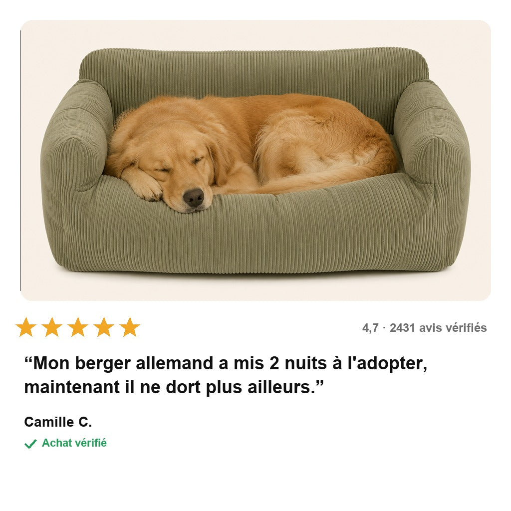 avis — Panier Orthopédique Confort Total pour Chien