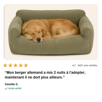 avis — Panier Orthopédique Confort Total pour Chien