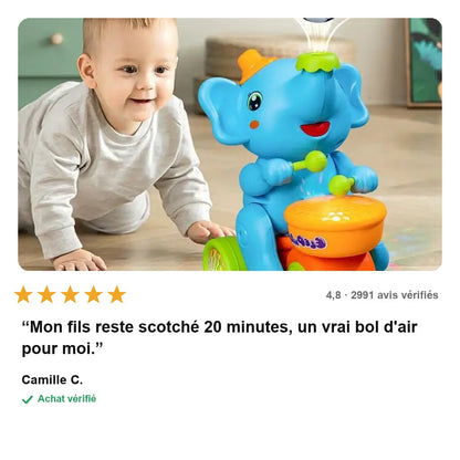 avis — Éléphant Musical Souffleur de Balles