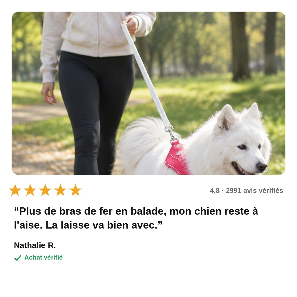 CalmPas™ – Harnais Chien Anti-Traction