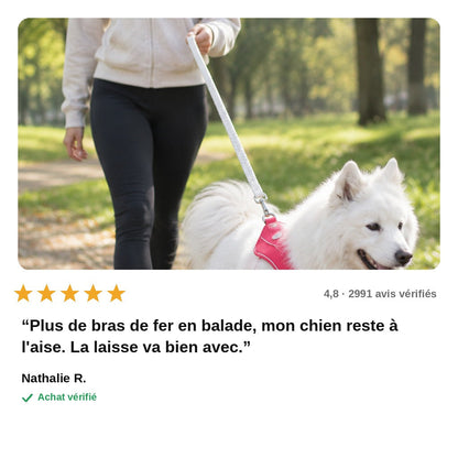 CalmPas™ – Harnais Chien Anti-Traction