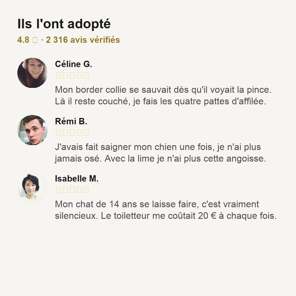 avis clients
