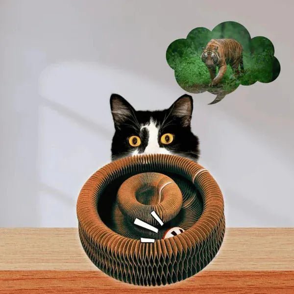 situation — GriffoBille™ – Griffoir en Carton Ondulé avec Balle pour Chat
