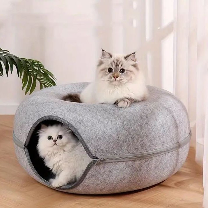 situation — CoconChat™ – Tunnel-Nid pour Chat, Repaire Douillet et Ludique