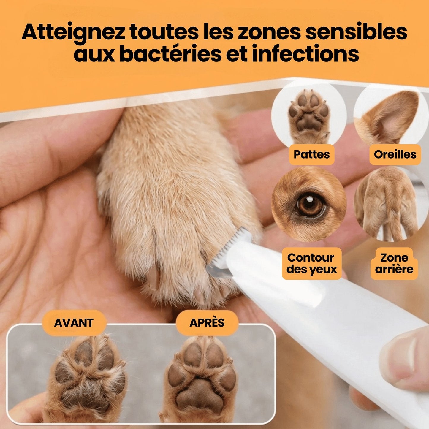 situation — NetPattes™ – Tondeuse Silencieuse pour Pattes de Chien