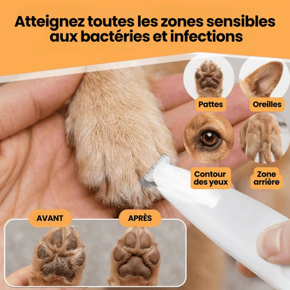 situation — NetPattes™ – Tondeuse Silencieuse pour Pattes de Chien