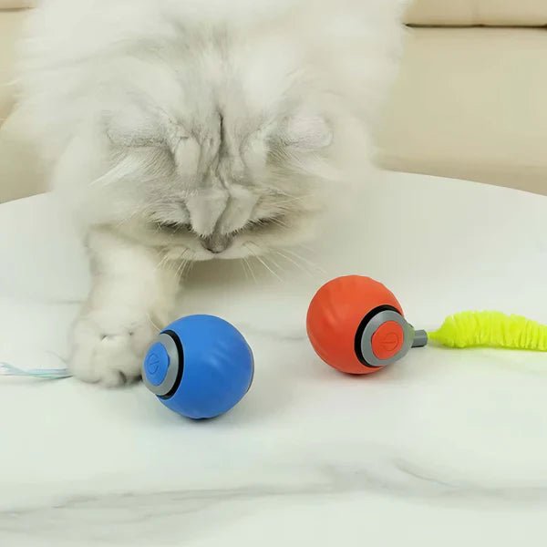 packshot — PlumoChase™ – Balle Roulante Interactive pour Chat, Queue Plumeau Amovible