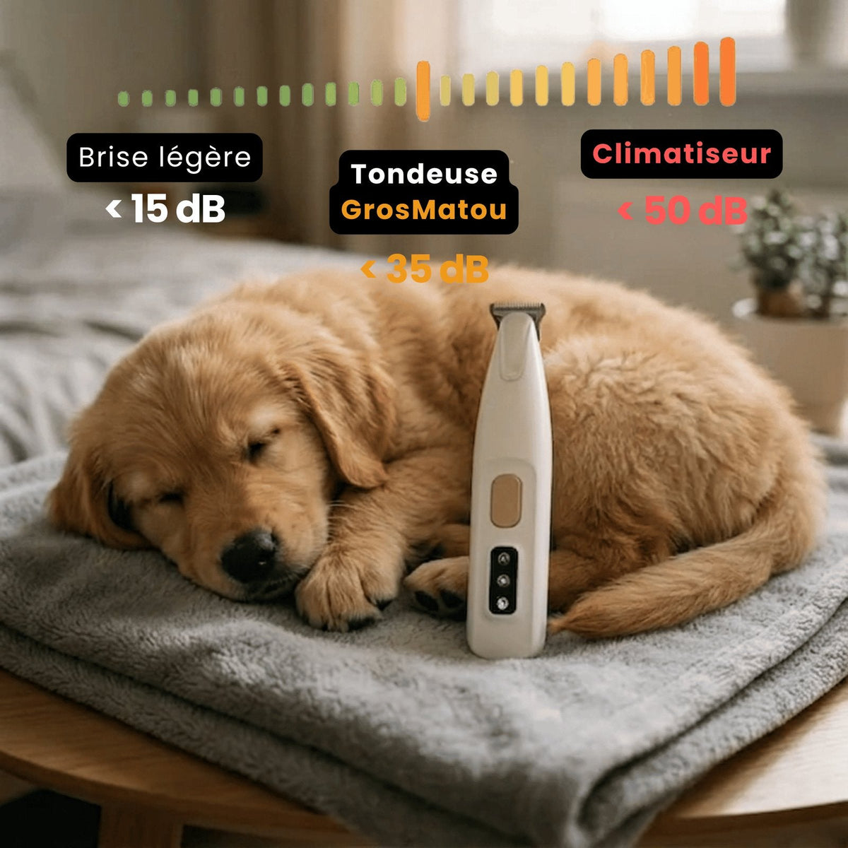 situation — NetPattes™ – Tondeuse Silencieuse pour Pattes de Chien