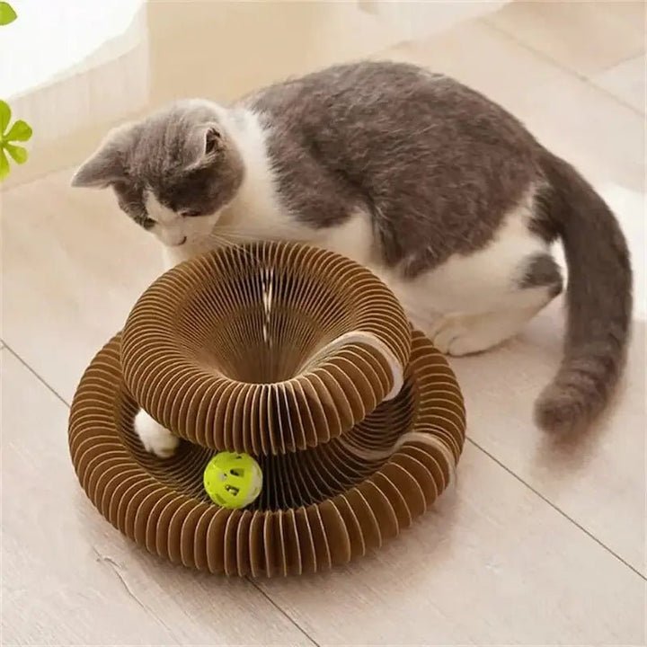 situation — GriffoBille™ – Griffoir en Carton Ondulé avec Balle pour Chat