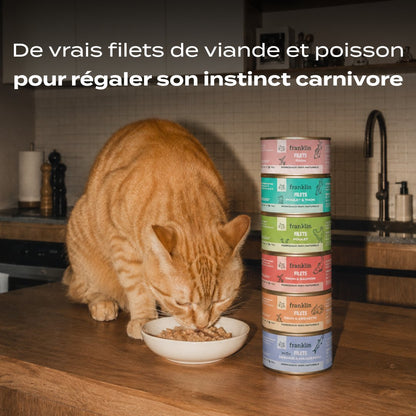 situation — Multipack Filets 6 Saveurs pour Chat – FelinRégal™