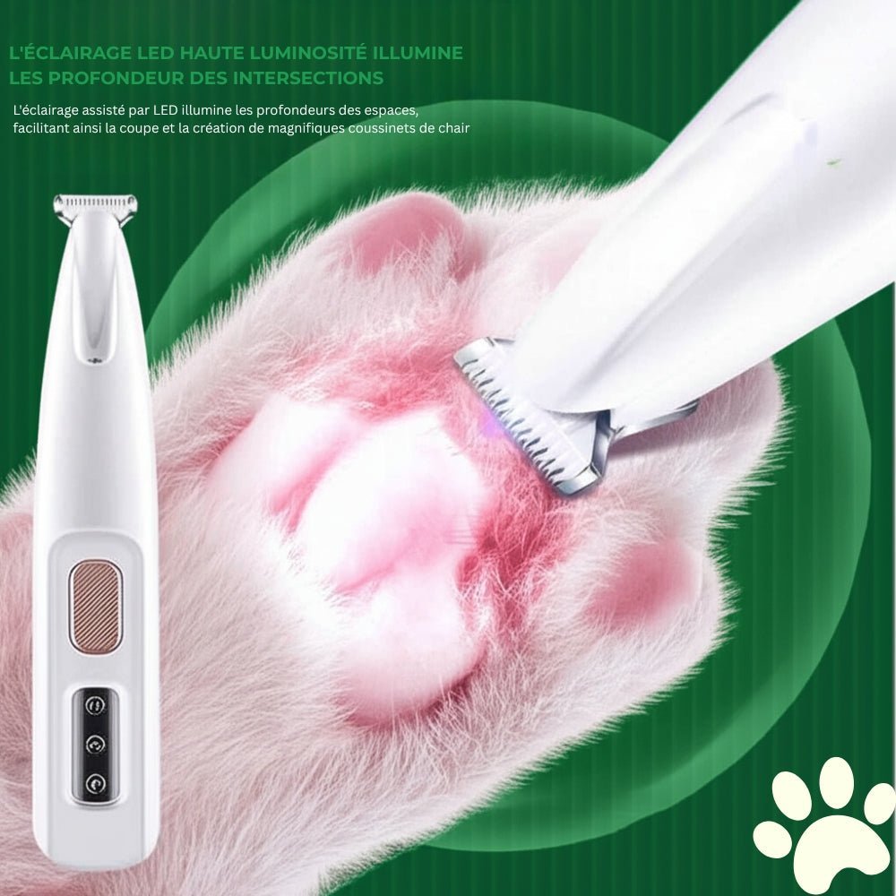 netpattes-tondeuse-silencieuse-pour-pattes-de-chie-367-section1
