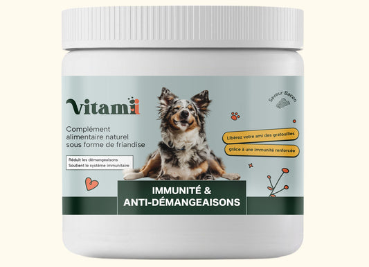 DermaCroq'™ – Friandises Immunité & Anti-Démangeaisons pour Chien