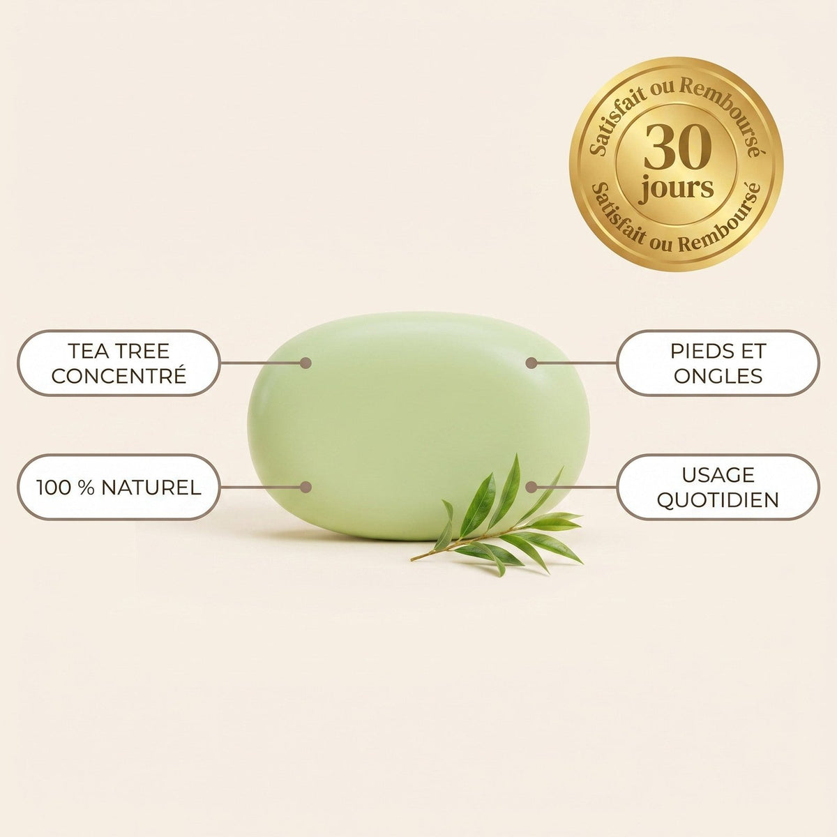 PuriTea — Tea Tree concentré, 100 % naturel
