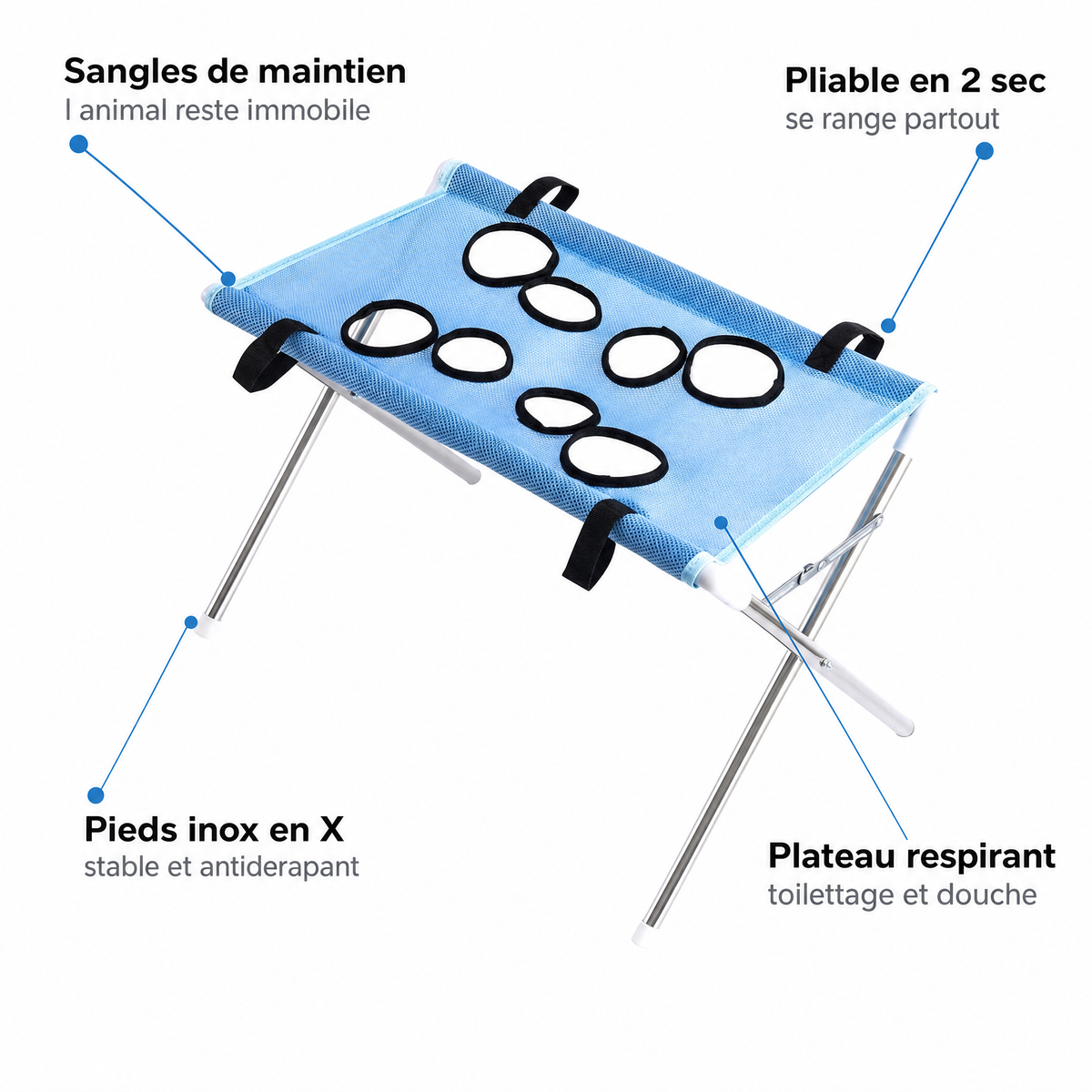 Infographie caracteristiques table de toilettage