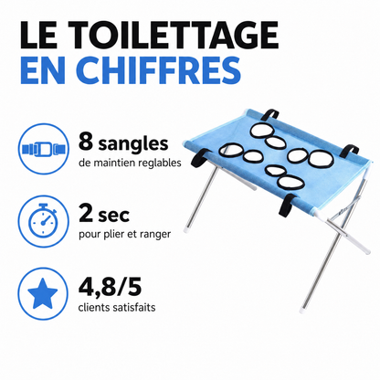 Le toilettage en chiffres