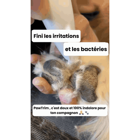 netpattes-tondeuse-silencieuse-pour-pattes-de-chie-367-gifsec