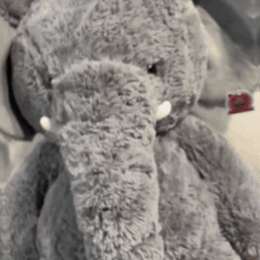 g-antc-lin-peluche-l-phant-xxl-ultra-douce-647-gifsec