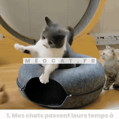 coconchat-tunnel-nid-pour-chat-repaire-douillet-et-650-gifsec