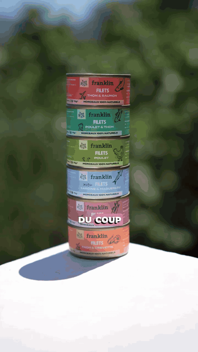 multipack-filets-6-saveurs-pour-chat-felinr-gal-398-gifsec