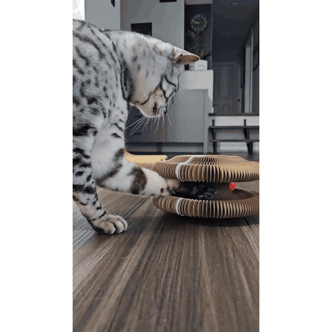 gif — GriffoBille™ – Griffoir en Carton Ondulé avec Balle pour Chat